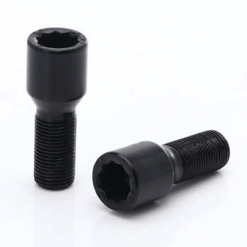 20x Sternschrauben Schwarz - 27mm M14x1,25 + Schlüssel